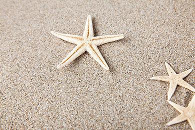 《巫师4》地图规模将会与《巫师3》的规模大致相当